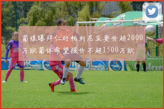 葡媒曝拜仁对帕利尼亚要价超2000万欧葡体希望报价不超1500万欧