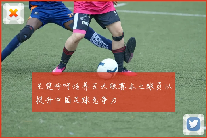 王楚呼吁培养五大联赛本土球员以提升中国足球竞争力
