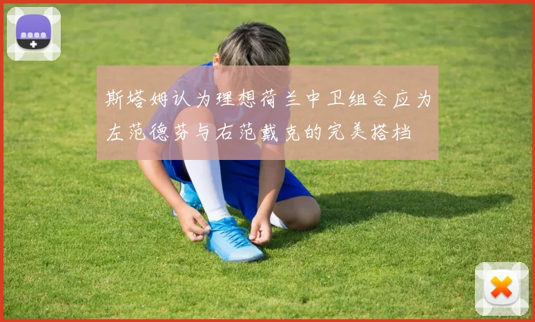 斯塔姆认为理想荷兰中卫组合应为左范德芬与右范戴克的完美搭档